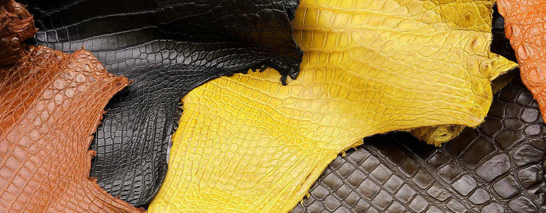 Exotic Animal Leathers Explained: From Crocodile to Stingray